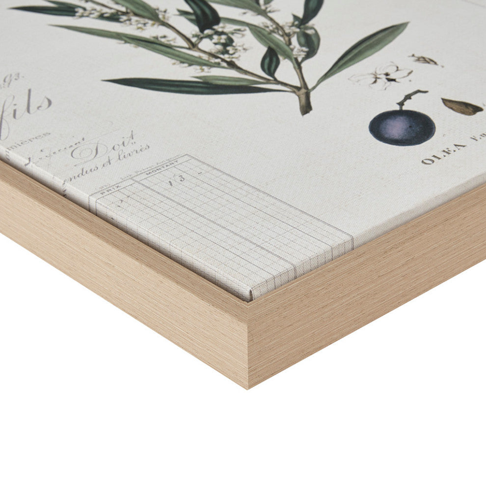 Madison Park Kalamata Branches Botanical Olive 2-Piece Canvas Wall Art