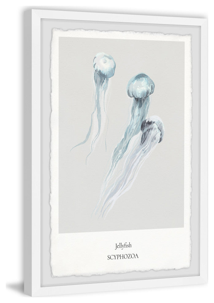 "Scyphozoa" Framed Painting Print, 8x12