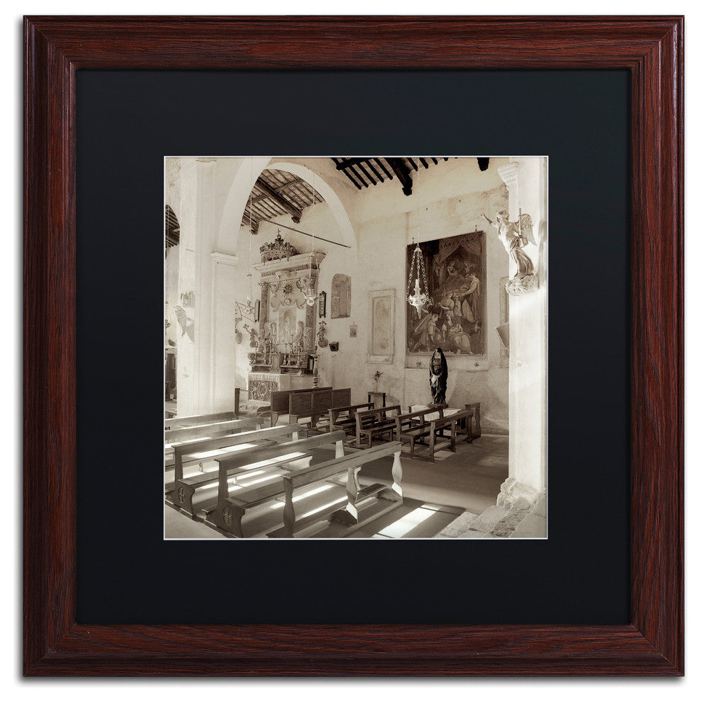Alan Blaustein ''Banogregio I'' Art, Wood Frame, Black Mat, 16x16
