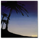 ''Evening Palms'' Canvas Art by Roderick Stevens