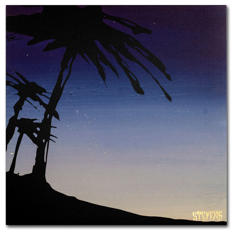 ''Evening Palms'' Canvas Art by Roderick Stevens
