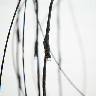 White background, close-up of trunk segment; cropped view.