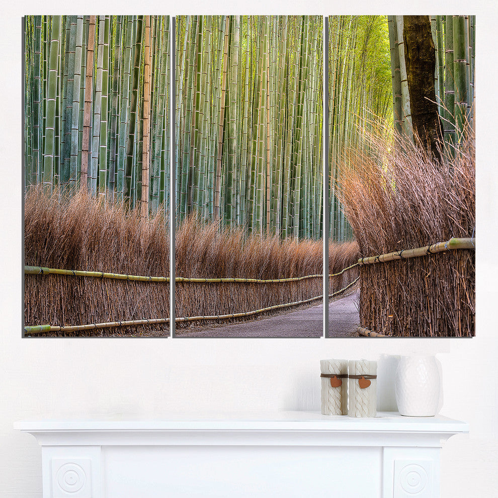 "Pathway Inside Bamboo Forest" Forest Metal Wall Art, 3 Panels, 36"x28"