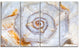 Great Skeleton of Sea Shell, Oversized Animal Wall Art, 48"x28", 4 Panels