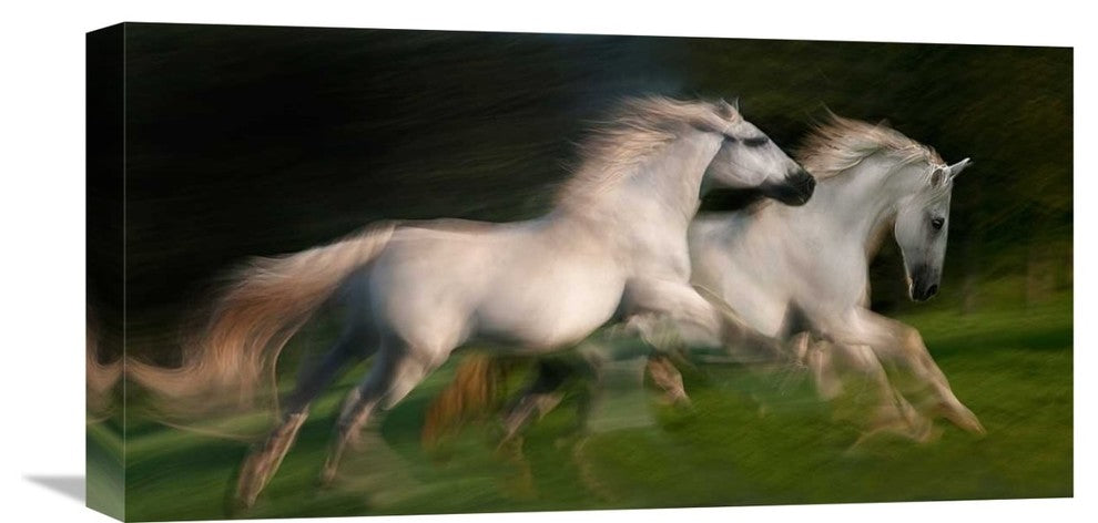 "Gallop For Two" Stretched Canvas Giclee by Milan Malovrh, 22x11"