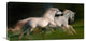 "Gallop For Two" Stretched Canvas Giclee by Milan Malovrh, 22x11"