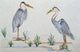 Mosaic Mural, Pelicans of Illinois, 72"x44"