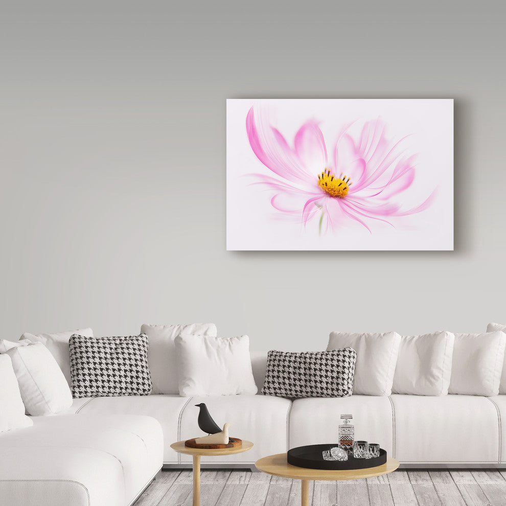 "Dancing Flower Cosmos" by Cora Niele, Canvas Art, 30"x47"