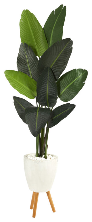 Product shot on a clean white background; full, unobstructed view of the tree and planter.