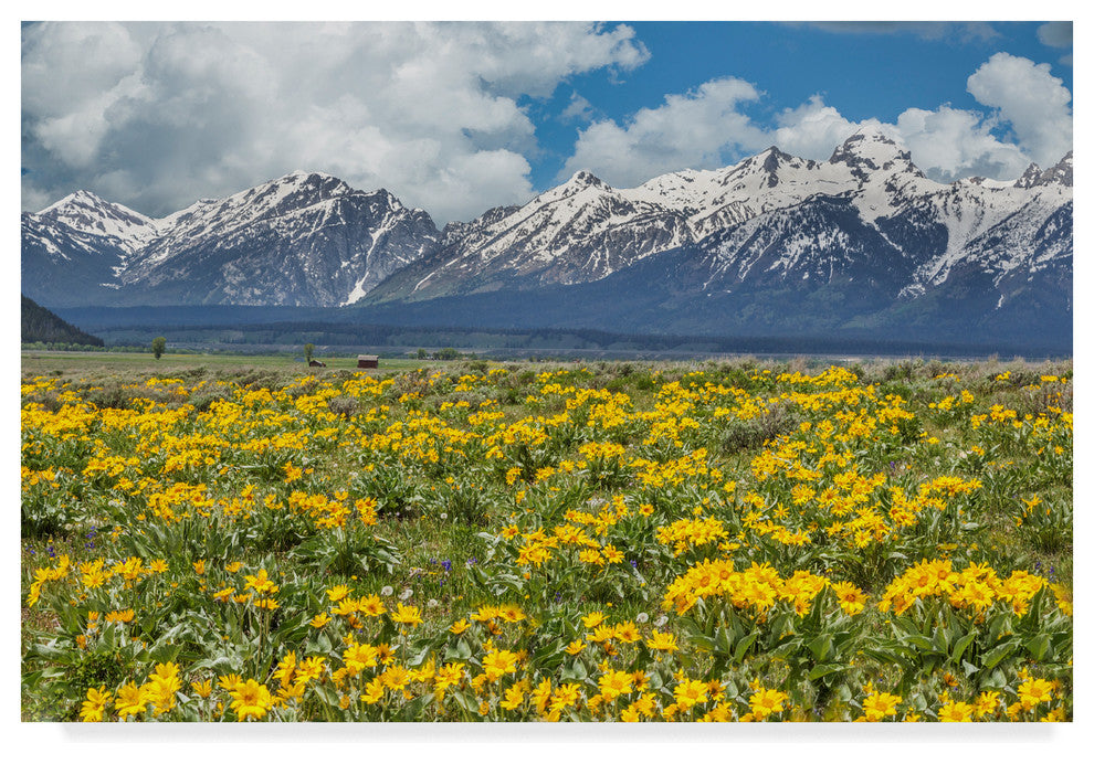 Galloimages Online ''Wild Flowers With Mountains'' Canvas Art, 19"x12"