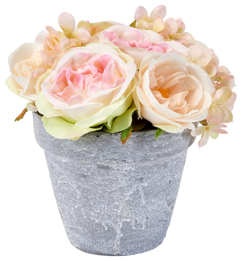 6" Roses In 6" Ceramic Pot