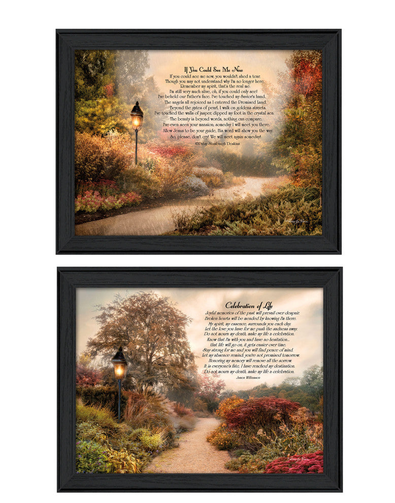 "Celebration of Life" Collection By Robin-Lee Vieira, Black Frame