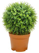 Potted Two-Tone Artificial Boxwood Ball Topiary Plant, 20.5"