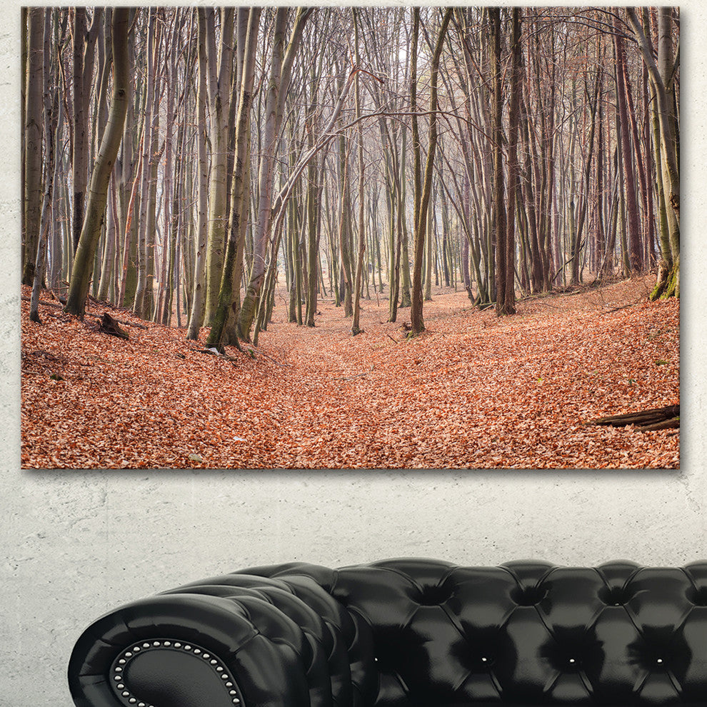 Leaves in the Thick Fall Forest, Forest Canvas Art Print, 40"x30"