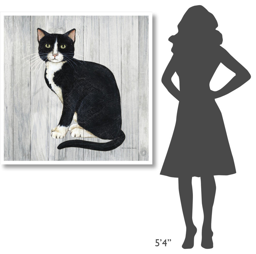 "Country Kitty I on Wood" Digital Paper Print by David Carter Brown, 42"x42"