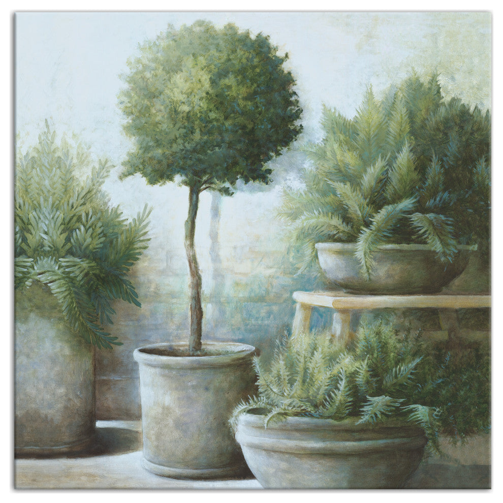 Potted Greenery 24x24 Canvas Wall Art