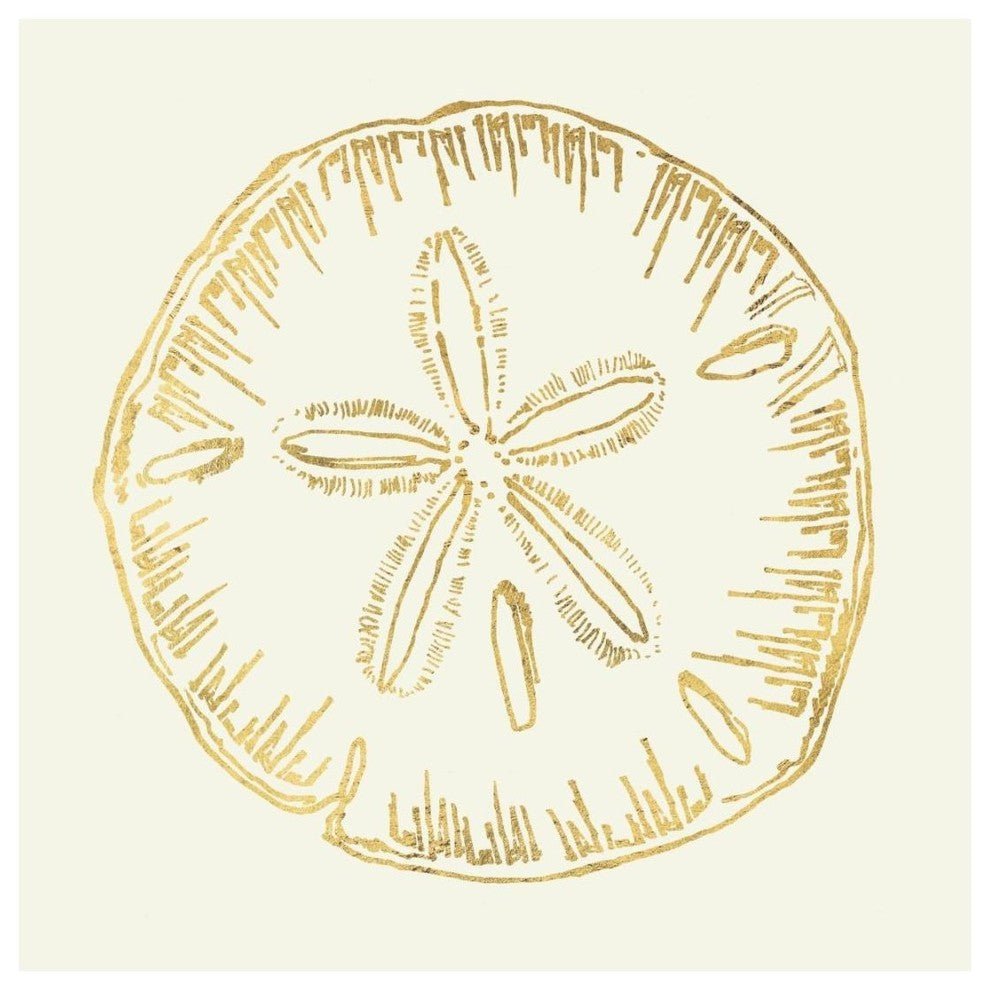 "Coastal Breeze Shell Sketches IV" Paper Print by Anne Tavoletti, 20"x20"