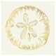 "Coastal Breeze Shell Sketches IV" Paper Print by Anne Tavoletti, 20"x20"