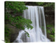 "Cascading Waterfall In Jefferson National Forest, Virginia" Artwork