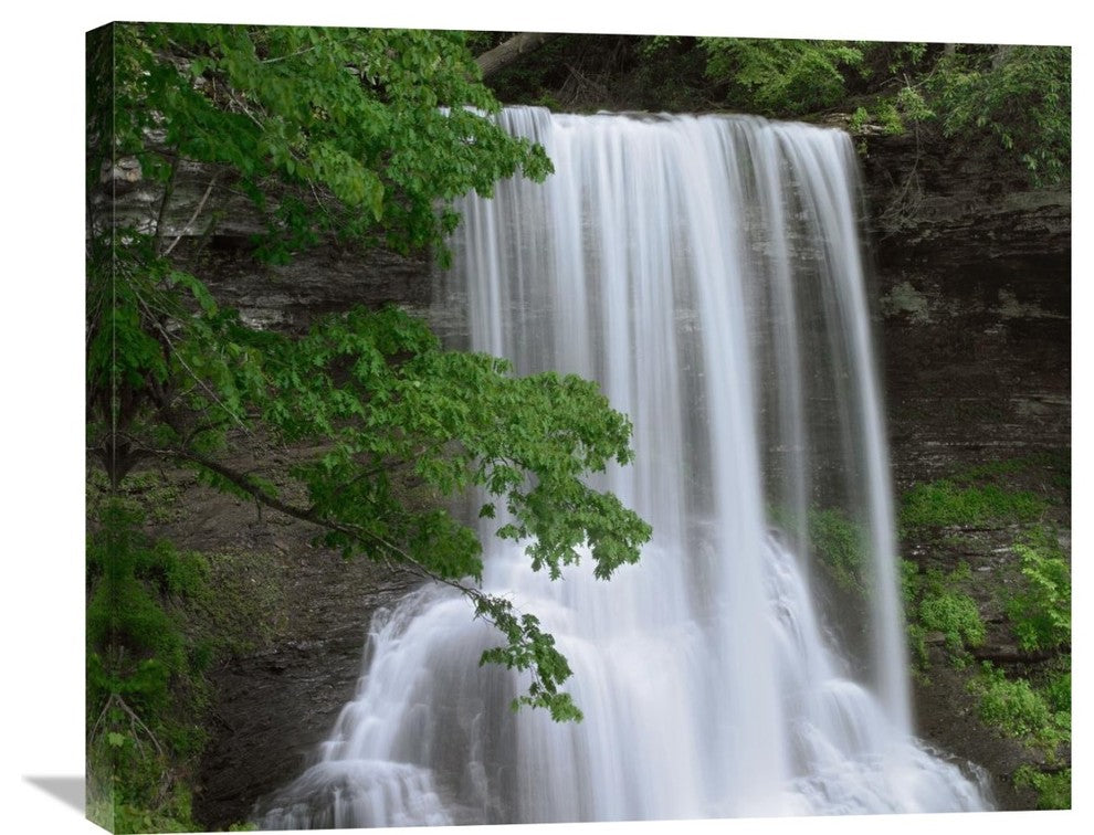 "Cascading Waterfall In Jefferson National Forest, Virginia" Artwork