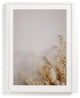 Dried Floral I By Annie Spratt