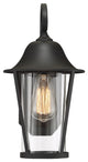 1-Light Exterior Wall Sconce, Black