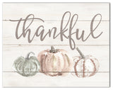 Thankful White Pumpkins 14x11 Canvas Wall Art