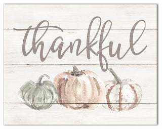 Thankful White Pumpkins 14x11 Canvas Wall Art