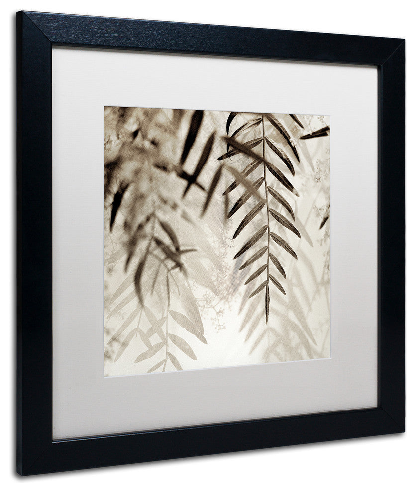 Alan Blaustein ''Florison 56'' Art, Black Frame, White Mat, 16x16