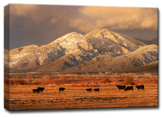 Ready2HangArt 'El Salto Cattle' by Bartlettayes, 30"x40"