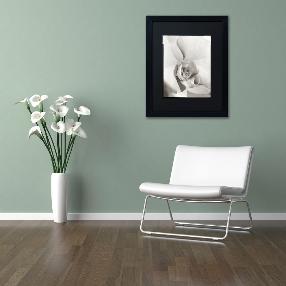 Alan Blaustein ''Florison 22'' Art, Black Frame, Black Mat, 16x20