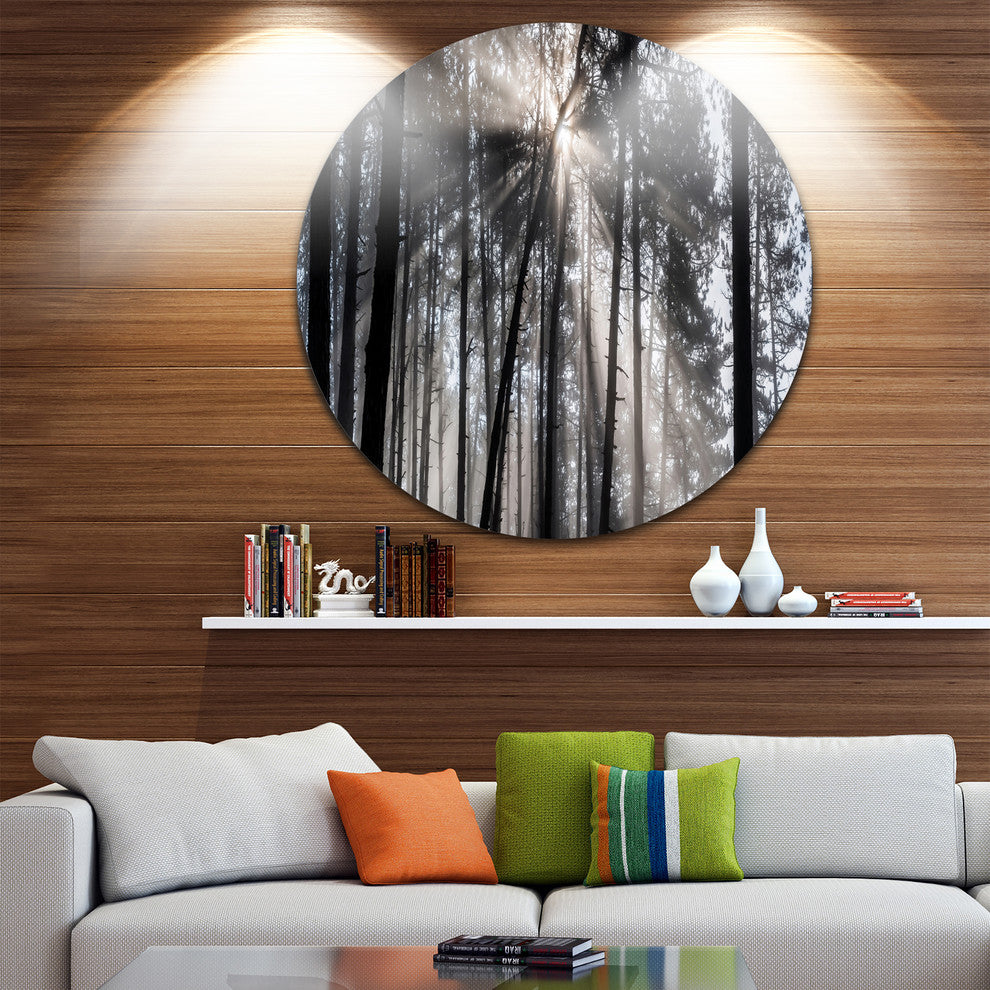 Sunbeams Through Black White Forest, Forest Round Wall Art, 23"