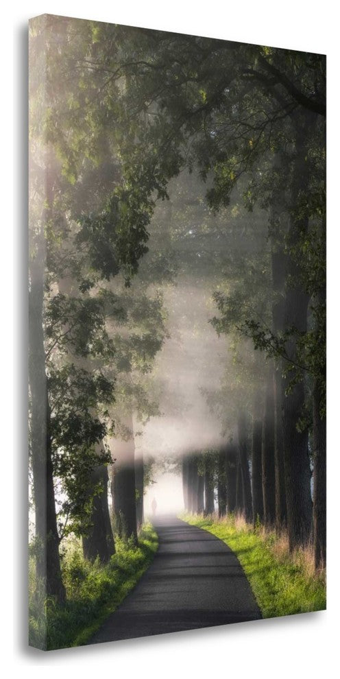 "Rays Of Fog" By Lars Van De Goor, Giclee Print on Gallery Wrap Canvas
