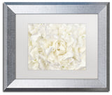 Cora Niele 'White Peony Flower' Matted Framed Art