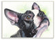 Boston Terrier Dog Pet Animal Watercolor Painting, 12"x18"