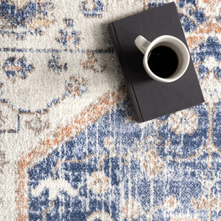 Nuloom Vintage Jacquie Floral Traditional Area Rug, Blue 2'8"x8'