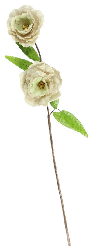 Full product on white background