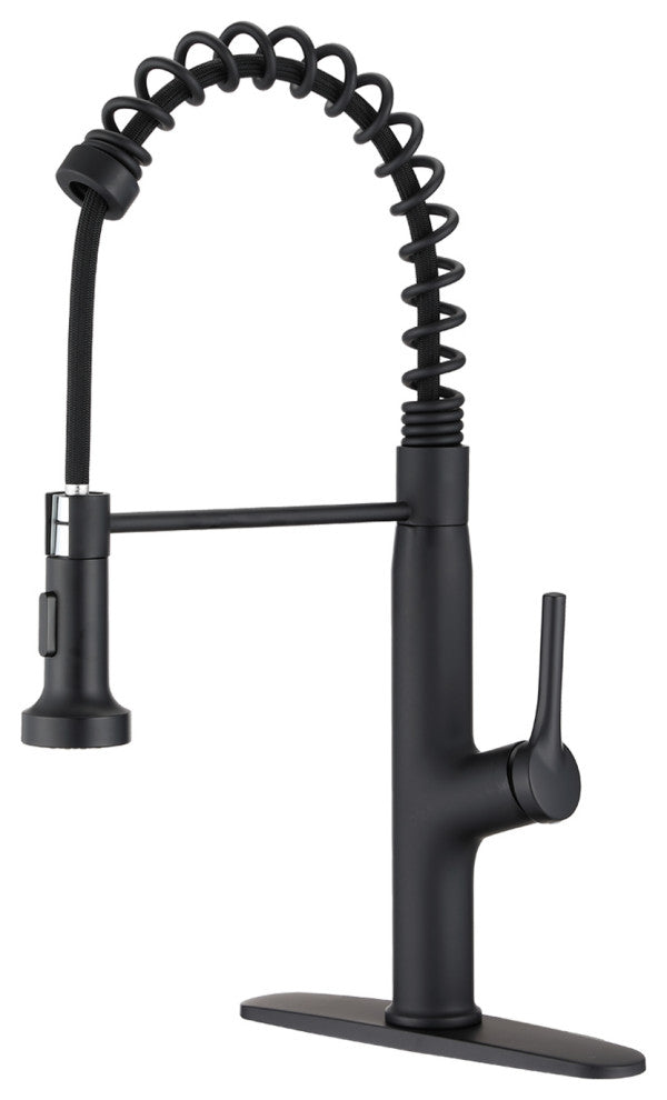 Givingtree Kitchen Faucet Pull Out Sprayer, Deck Mount Matte Blac