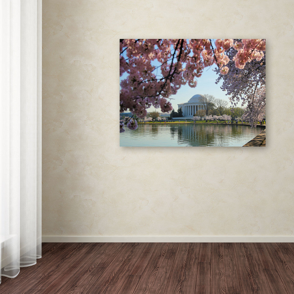 'DC 3' Canvas Art by CATeyes