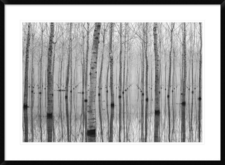 "Novembre 2014" Framed Digital Print by Aglioni Simone, 38"x28"