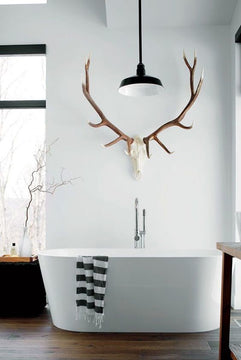 Elk European Mount