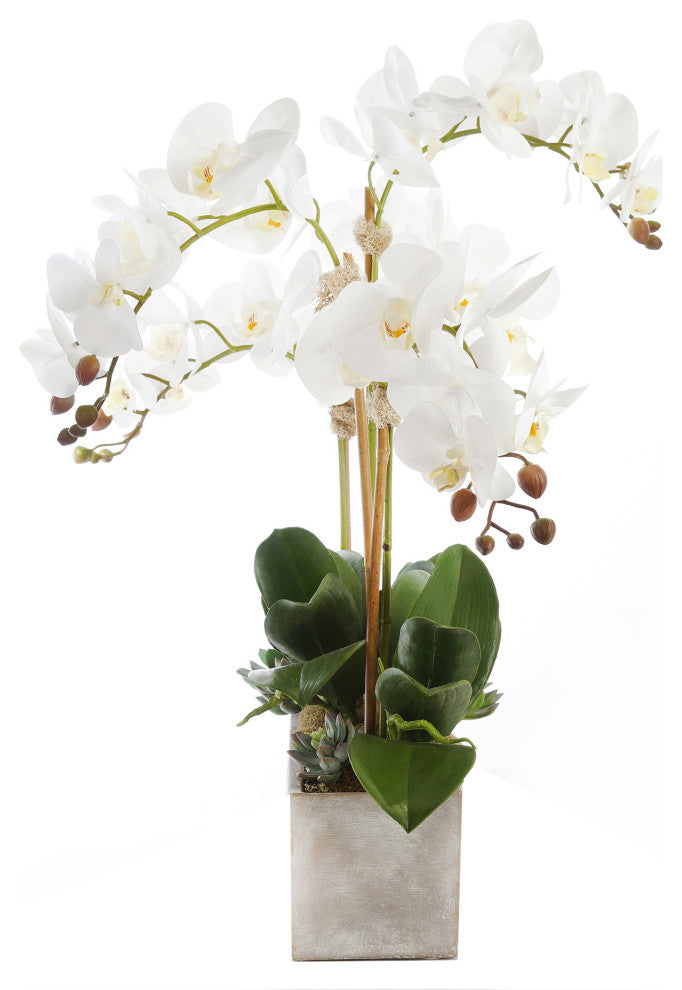 Modern Cream White Orchid Arrangement