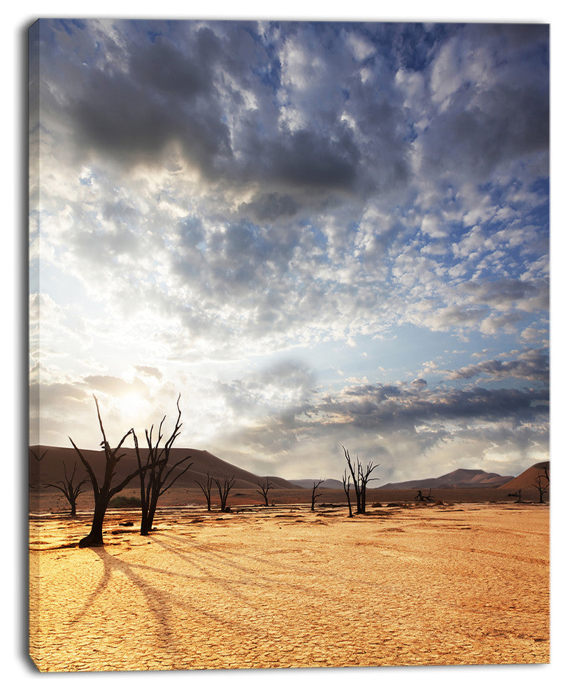 Namib Desert under Cloudy Sky, Oversized Landscape Canvas Art, 30"x40"