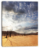 Namib Desert under Cloudy Sky, Oversized Landscape Canvas Art, 30"x40"
