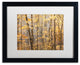 Jason Shaffer 'Autumn Treeline 2', Black Frame, White Mat, 20x16