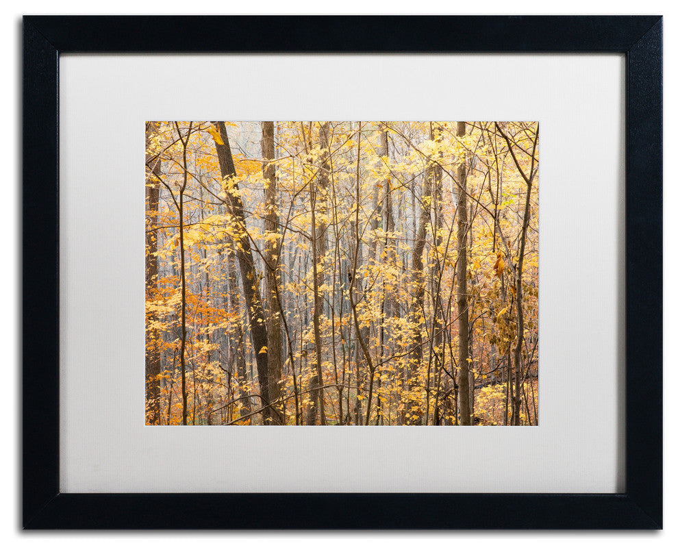 Jason Shaffer 'Autumn Treeline 2', Black Frame, White Mat, 20x16