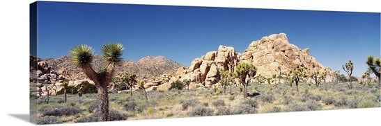 "California, Joshua Tree National Monument, Rock formation in a arid landscap...