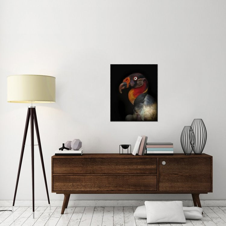 "King Vulture-Sarcoramphus Papa"  by Ferdinando Valverde, 25x31"