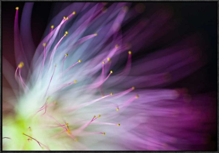 "The Will-O-The-Wisp" Framed Canvas Giclee by Art Lionse, 37x26"