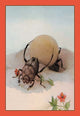 The Sisyphus - Gallery Wrapped Canvas Art 28" x 42"